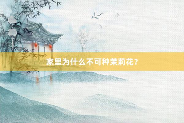 家里为什么不可种茉莉花？